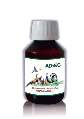 AD3EC.jpg