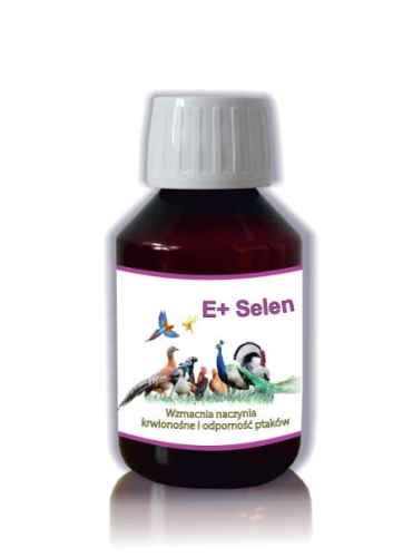 E+Selen.jpg