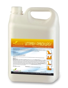 Galvit WITAMINY + AMINOKWASY 5L