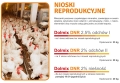 Dolmix DNR 2% odchów II - nioski reprodukcja 20kg 2.jpg