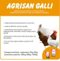 AGRISAN GALLI 25kg - na ptaszyńca 1.jpg