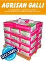 AGRISAN GALLI paleta 250kg.jpg