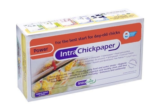 INTRA CHICKPAPER POWER.jpg