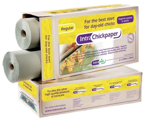 INTRA CHICKPAPER REGULAR.jpg