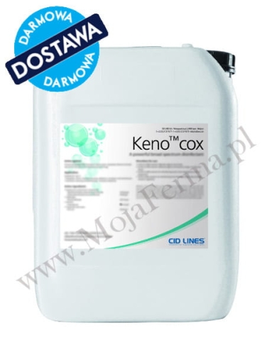 KENOCOX ok.jpg