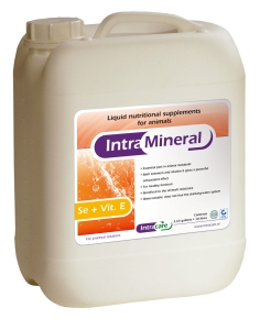 INTRA MINERAL Se+E 5L