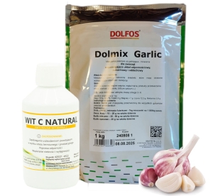 ZESTAW odporność - czosnek + witamina C