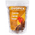 OVOPICK muszle-morskie-2-kg-grube.jpg