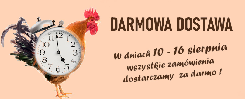 DARMOWA DOSTAWA